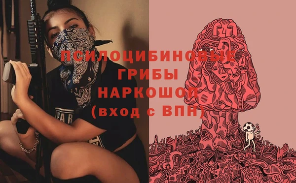 a pvp Михайловск