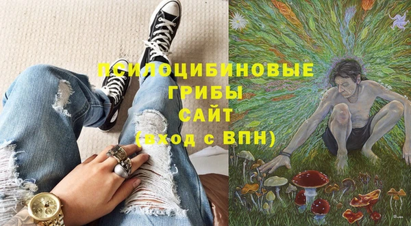 a pvp Михайловск