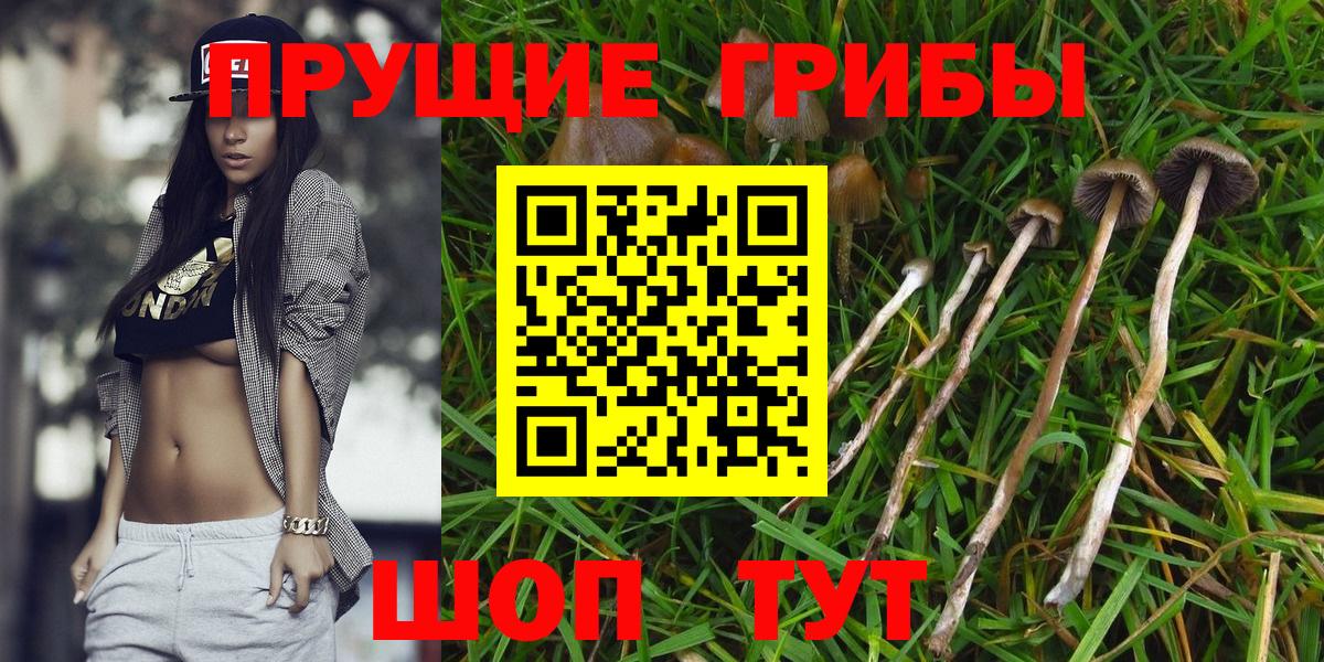 Псилоцибиновые грибы прущие грибы Туапсе