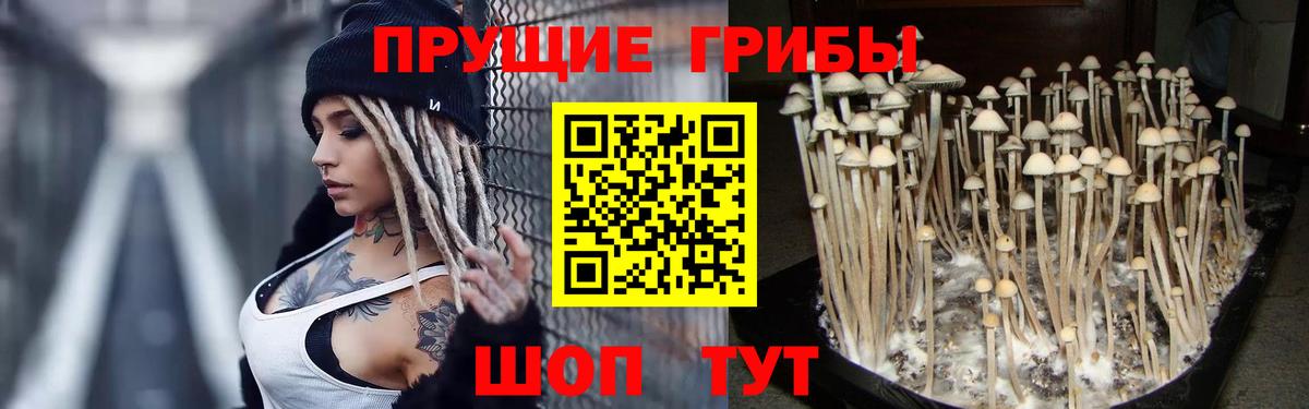 Псилоцибиновые грибы мицелий  Вход с VPN  Туапсе 